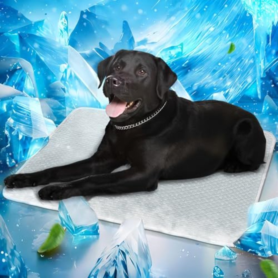Img